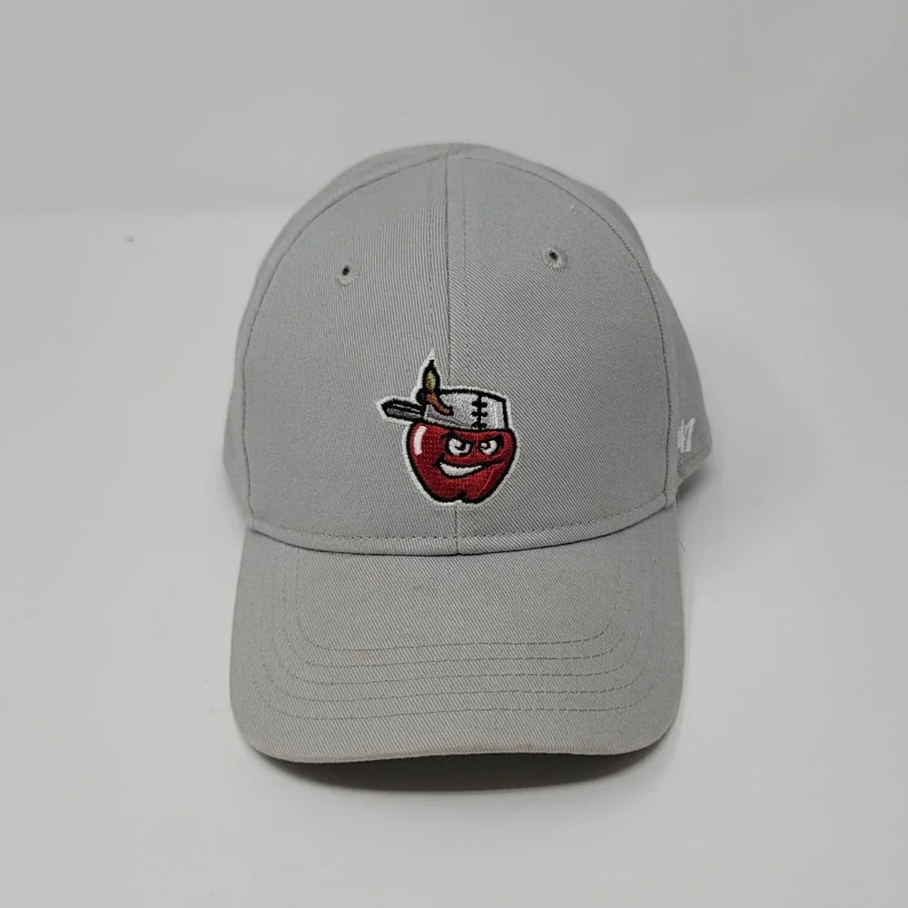 Infant '47‎ Brand Fort Wayne TinCaps Minor League Baseball Gray Fitted Hat Cap